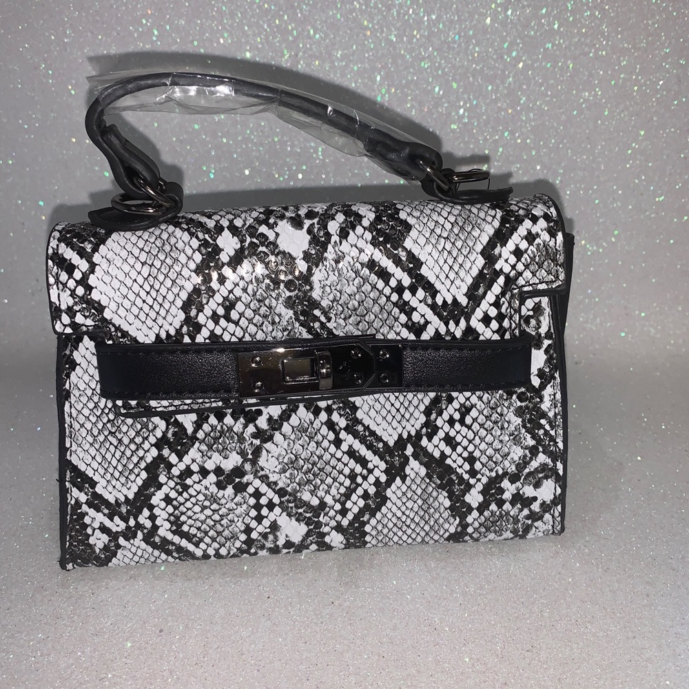 Snakeskin Purse